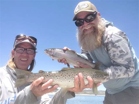 Kern River Fishing Report Kern River Lake Isabella Lake Crowley 7