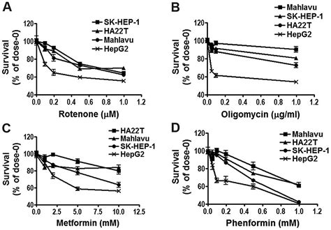 Energy Metabolism Determines The Sensitivity Of Human Hepatocellular