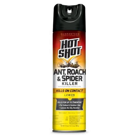 Hot Shot Ant Roach And Spider Killer Fresh Floral Aerosol Pack Of