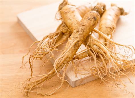 Le ginseng une plante médicinale aux multiples vertus