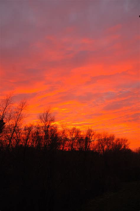 Free Images Nature Forest Horizon Cloud Sun Sunrise Sunset