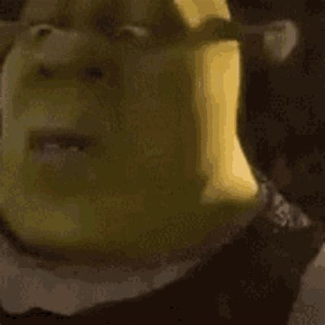 Shrek Eyes GIF - Shrek Eyes Shrek Meme - Discover & Share GIFs