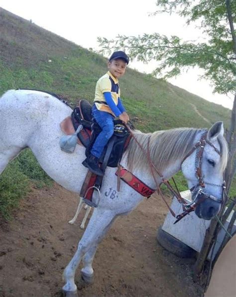 Menino de 4 anos morre após ser arrastado por cavalo em Surubim