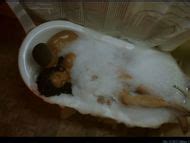 Naked Rhyon Nicole Brown In Tales