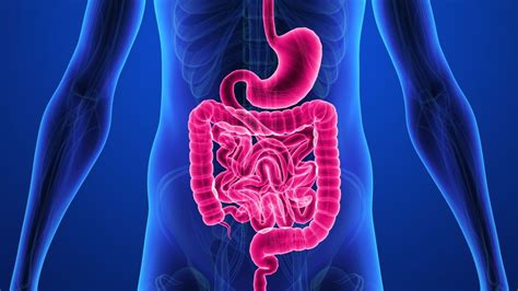 Crohn S Disease Causes Symptoms Treatment Diagnosis Max Lab