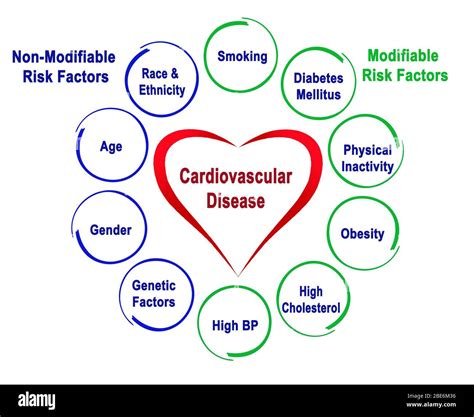 Non Modifiable And Modifiable Risk Factors For Cardiovascular Disease