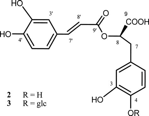 Chemical structures of compounds 2 and 3 glc β β β D glucopyranosyl