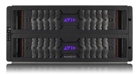 Avid Nexis Nas