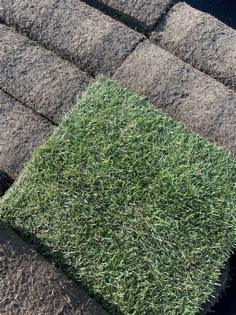 Kentucky Bluegrass Sod - Sod Delivery Calgary - Bulk Sod Supply