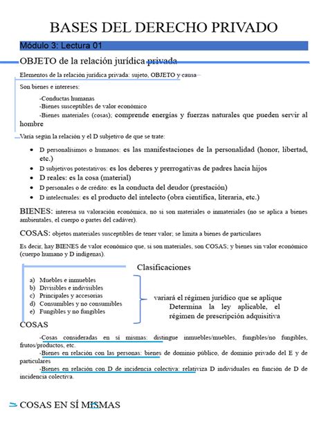 Bases Del D Privado 3 Pdf Bienes Ley Intención Derecho Penal