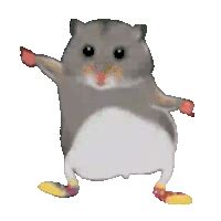 Hamster Dance GIFs | Tenor