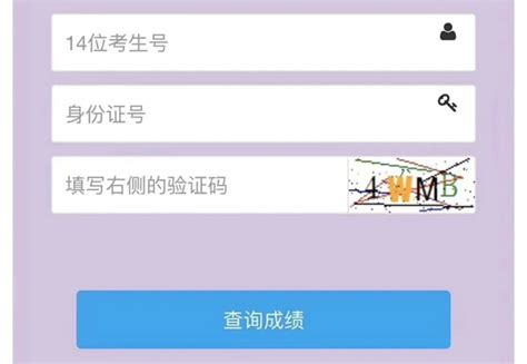 河北八省联考成绩查询入口河北八省联考怎么查分学习力