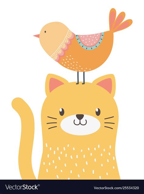 Cat and bird cartoon design Royalty Free Vector Image