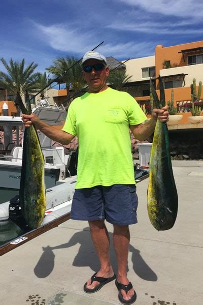 March Mahi Madness Baja Fishing Report Baja Adventure Co