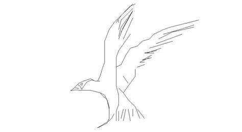 Eagle Drawings 2d View Autocad File Cadbull