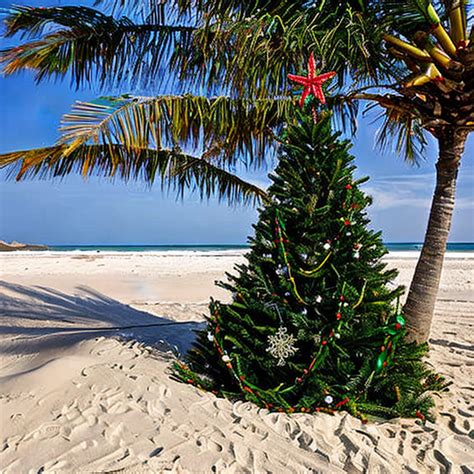 Christmas Tree On A Beach Generated With Stable Diffusion Getimg Ai