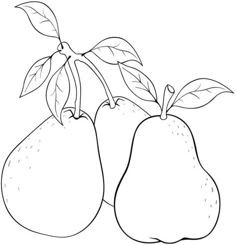 Tres Guayaba Para Colorear Imprimir E Dibujar Coloringonly