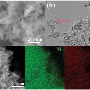 A SEM B TEM And C EDX Mapping Images Of Ni3 Ni3HAHATN 2 Nanosheets