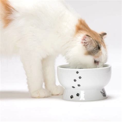 Porcelain Raised Cat Water Bowl