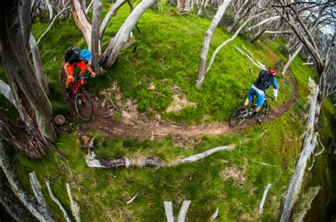 Mt Bullers Signature Event Bike Buller Mtb Festival Presented By