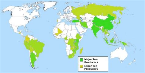 Tea Producing Countries and Regions | Tea and books, Types of tea, Tea ...