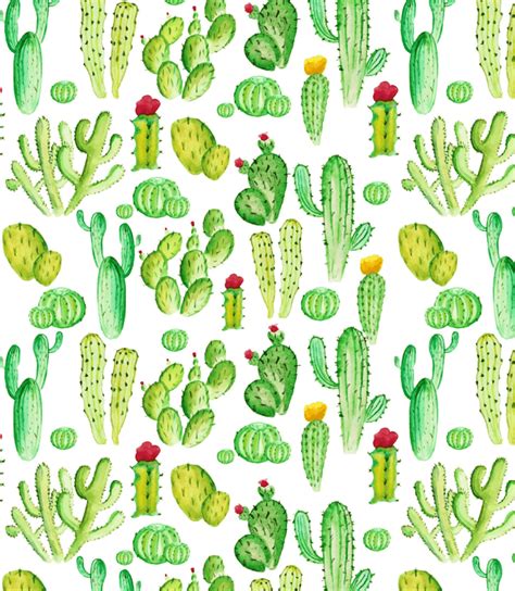 Ilustración de lote de cactus verde suculentas cactáceas y planta