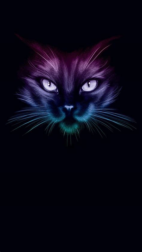 Neon Cat HD Wallpapers - Top Free Neon Cat HD Backgrounds - WallpaperAccess