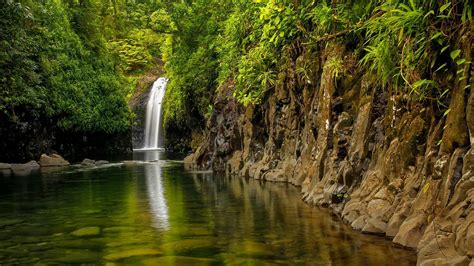 Nature Monsoon Water Trees Wainibau Falls Rocks Forest Plants