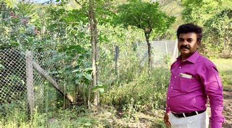 A Unique Forest Full Of Medicinal Plants Comes Up In Pune — Thanks To