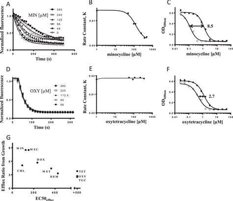 A Fluorescent Microplate Assay Quantifies Bacterial Efflux And