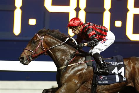 蘇兆輝爭取衛冕浪琴表國際騎師錦標賽 賽馬新聞 香港賽馬會