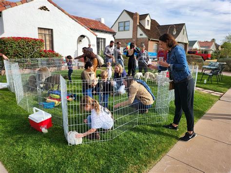 Az Mobile Petting Zoo Rent Farm Animals For Birthday Party