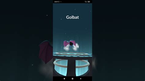 Evolution Of Purified Zubat To Golbat In Pokemon Go YouTube