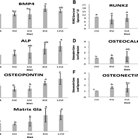 Bone Morphogenetic Protein Bmp A Runt Related Transcription