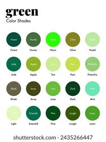 Palette Green Shades Corresponding Names Collection Stock Vector ...