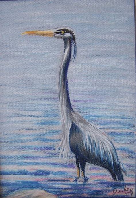 Stunning "Great Blue Heron" Drawings And Illustrations For Sale On Fine ...