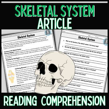 Skeletal System Reading Comprehension Question Worksheet By Bluebonnet