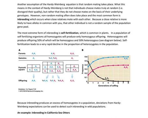 Understanding The Key To Hardy Weinberg Equations Pogil Answer Key