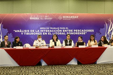 Realiza Sagarhpa Mesa De Trabajo Sobre Interacción Entre Pescadores Y