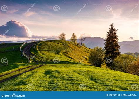 Country Road through Grassy Hill at Sunset Stock Image - Image of ...