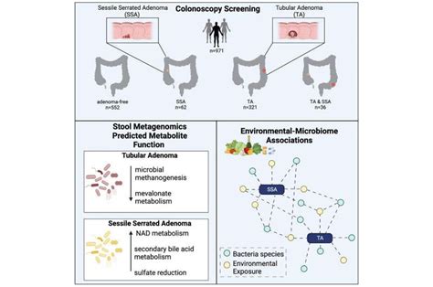 Gut microbiome changes linked to precancerous colon polyps