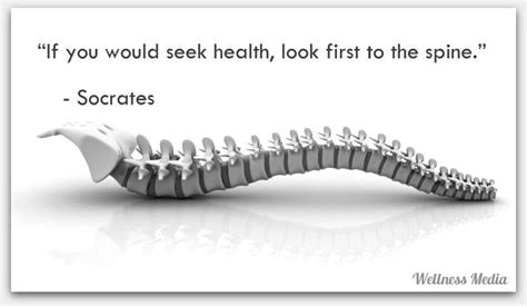 If You Would Seek Health Look First To The Spine” Socrates Spine