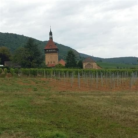 Wandern Pfälzer Rundwanderung mit Einkehr Annahotel Tour 154077