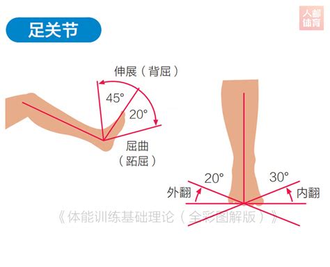 关节活动度又称关节活动范围