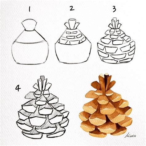 Kate Kyehyun Park On Instagram How To Sketch Pinecones Step By Step 솔방울 스케치 방법 Flower