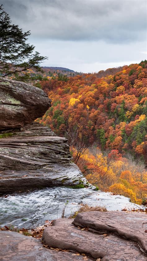 Autumn Vertical Wallpapers Wallpaper Cave