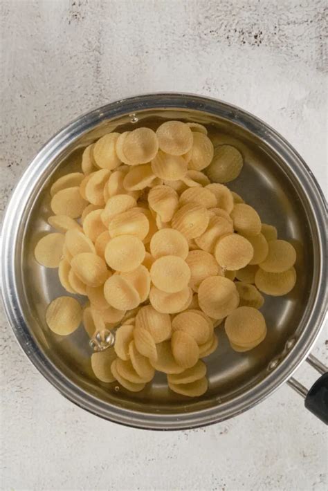 Delicious Orecchiette Pasta Recipe | Baked Bree