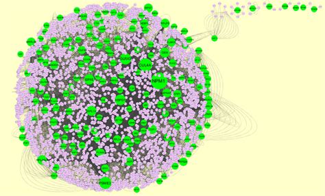 Protein Protein Interaction Network Of Differentially Expressed Genes