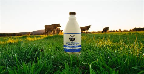 Cold Pressed Raw Milk Full Cream Made By Cow