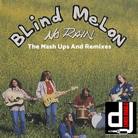 Blind Melon - No Rain - The Mash Ups And Remixes | Dj Chris Diablo